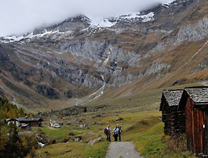 Almwanderungen Lazins - Pfelders